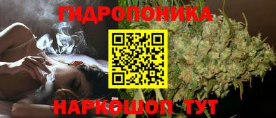 ГАЛЛЮЦИНОГЕННЫЕ ГРИБЫ Донской