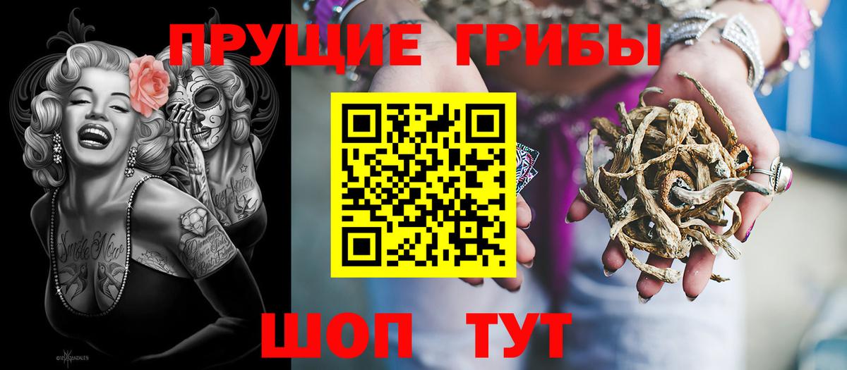 Вологда  Псилоцибиновые грибы прущие грибы  Вход с VPN  Псилоцибиновые грибы GOLDEN TEACHER 