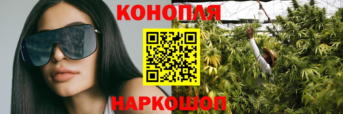 Бошки Шишки Amnesia Вологда